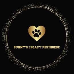 Pekingese Puppies from Sunny's Legacy Pekingese