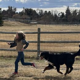 Bernese Mountain Dogs from Yellowstone Bernese Mountain Dogs
