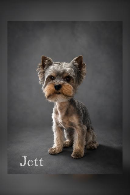 Jett