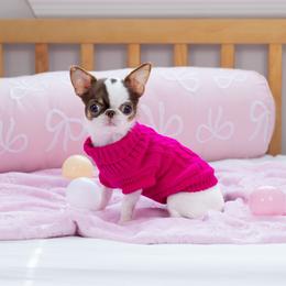 Teeny tiny Baby Pixie 2.1 lb - 10,500 - Chocolate and white female Chihuahua puppy in Jacksonville, Florida from Petits Chihuahuas