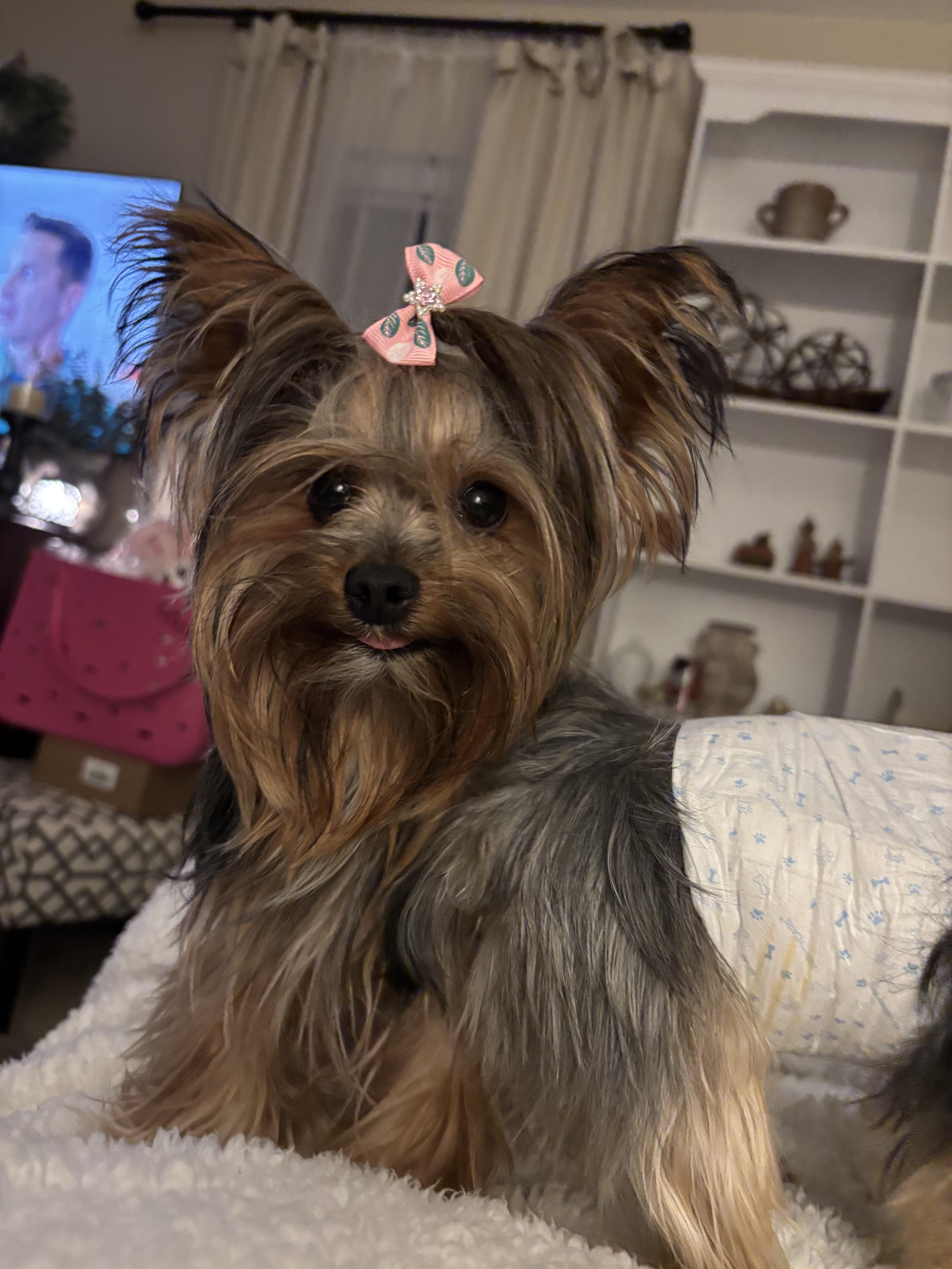 Molly