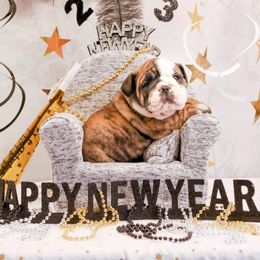 Bulldog and Miniature Australian Shepherd Puppies from RKC English Bulldogs and Mini Aussies