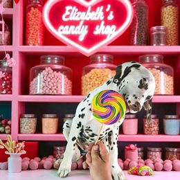 Elizabeth - White and liver brown female Dalmatian puppy in Sierra Vista, Arizona from Fairytail Dalmatians