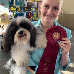 Havanese Puppies from SunWyst Havanese