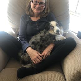 Pepper - Miniature Australian Shepherd