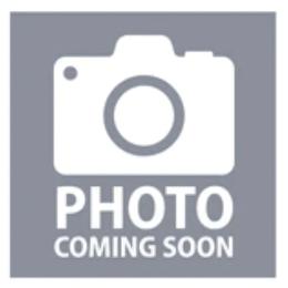 Nutmeg-Orange Collar - Fawn female Pug puppy in New Braunfels, Texas from Kex Pug Haus