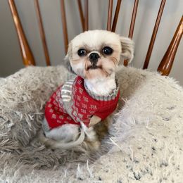 Molly - Shih Tzu