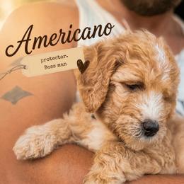 Americano - Apricot male Goldendoodle puppy in Madison, Georgia from Wildflower Doodles