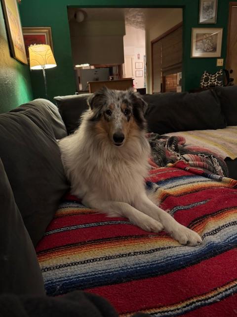 Elsa