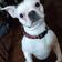 Winston