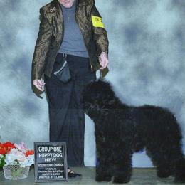 George - Barbet