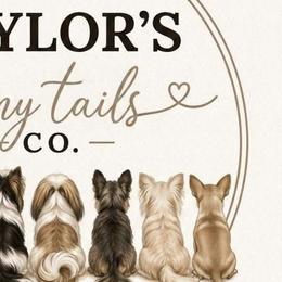 Shih Tzus and Yorkshire Terriers from Real life Teddybears
