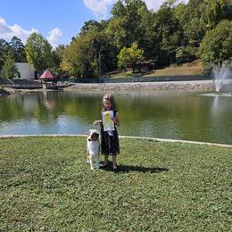 Australian Shepherds from Artistic Australian  Shepherds