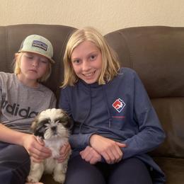 Shih Tzu Puppies from Willow Lane Shih Tzus