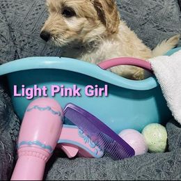 Goldendoodle Puppies from Toneytails Doodles