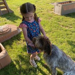 Wirehaired Pointing Griffon All Grown Up from Luther Smith