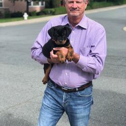 "C litter pup with new family from our great 2 pup litter " Rottweiler Puppies from VHWilliamsRottweilers