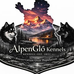 Finnish Lapphunds from AlpenGlō Kennels