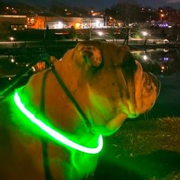 Bulldogs from Hummerbulls