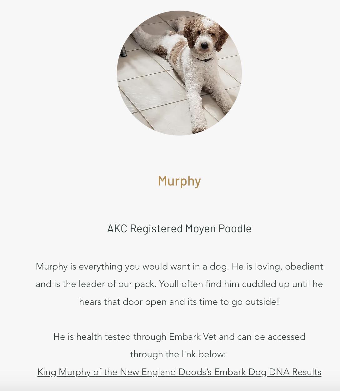 Murph