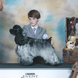 GCH Nefer's Roanin Prison Blues - Cocker Spaniel