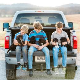 Portuguese Water Dog Puppies from Keehn-Country Porties