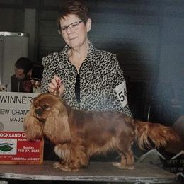 Nala - Cavalier King Charles Spaniel