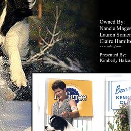 Border Collies and Dogo Argentinos from Timeless's Dogo Argentino's and Border Collies
