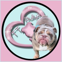Ginni - Bulldog