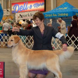 Golden Retrievers from Brew Bayou Golden's