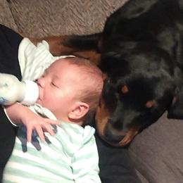 Rottweiler Puppies from Von Nuffosttor Rottweilers