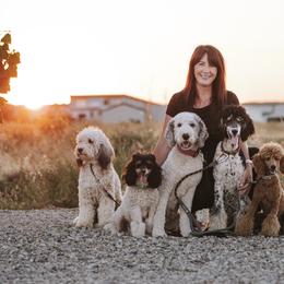 Bernedoodle, Goldendoodle, and Poodle Puppies from Northwest Pups