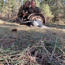 German Shorthaired Pointer Puppies from MCP Kennels