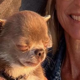 Chihuahuas and French Bulldogs from Kelly Treat's Chihuahuas and French Bulldogs