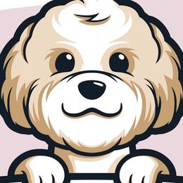 Cavapoos, Cockapoos, Maltipoos, and Poodles from My Doodle Puppy