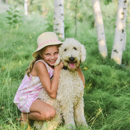 Goldendoodle Puppies from Lakeside Doodles