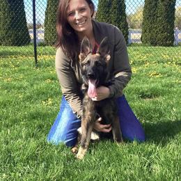 German Shepherd Puppies from Haus Kriegerhund