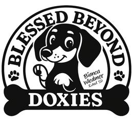 Red collar boy - Sable male Dachshund puppy in Isabel, South Dakota from Blessed Beyond Doxies
