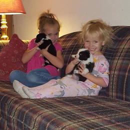 Pembroke Welsh Corgi Puppies from Keifer’s Corgis