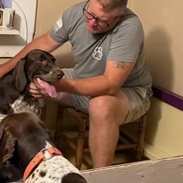 German Shorthaired Pointers from Cuilean farm and kennel