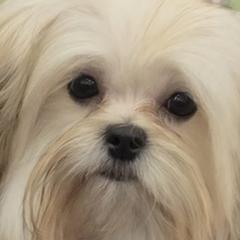 Mi-Kis from Little Angels Mi-Kis