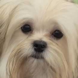 Mi-Kis from Little Angels Mi-Kis