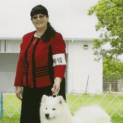 Samoyeds from Alta Samoyeds