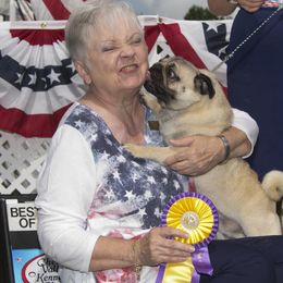 Pugs from Kelz Pugz