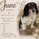 June