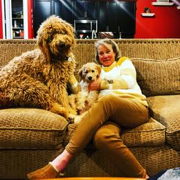 Goldendoodle Puppies from Lundee Doodles
