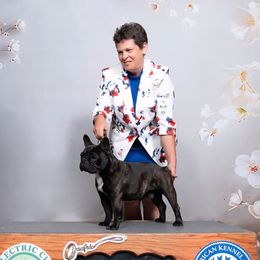 Rottweilers from Templinhaus Rottweilers