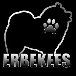 Girl 3 - Black and silver female Keeshond puppy in Fayetteville, Tennessee from Erbekees-Keeshonden