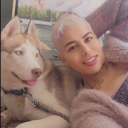 Vanilla - Siberian Husky