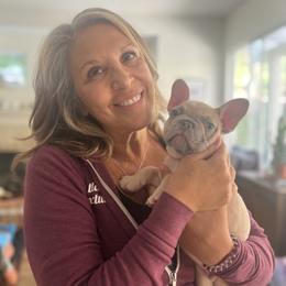French Bulldog Puppies from Wrinkle Boss FrenchBulldogs